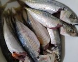 Foto langkah ke 1 dari resep Balado Ikan Dencis.