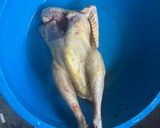 รูปขั้นตอนการทำที่ 1 ของ ไก่บ้านต้มโค๊ก