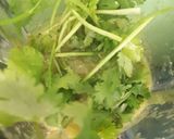 Foto del paso 3 de la receta: Salsa verde taquera