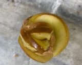 A picture of step 9 of Apple Rose Tarts.