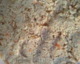 Foto del paso 4 de la receta: Milanesas de soja con zanahoria y cebolla VEGANAS