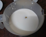 Foto del paso 1 de la receta: Minitarta de mousse de melocotón y yogur griego