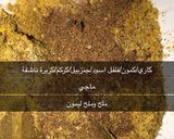 صورة لخطوة 2 من وصفة مقلقل لحم