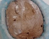 Foto langkah ke 12 dari resep Double Chocolate Sourdough Bread (74%).