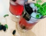 عکس مرحله 4 از دستور شربت شاتوت