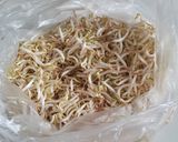 Foto langkah ke 1 dari resep Cah Tauge.