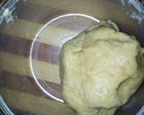 Fish rollmatakin girki6 hoto