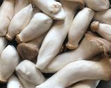 Hình bước làm 1 của món Ruốc nấm đùi gà chay