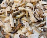 俄羅斯酸奶雞肉Chicken Stroganoff的食譜步驟5照片