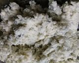Foto del paso 2 de la receta: Crema de roquefort