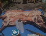 Foto del paso 5 de la receta: Cordero a la asador (paso a paso)