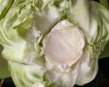 A picture of step 1 of Cabbage Rolls.