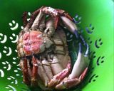 Foto del paso 4 de la receta Buey de mar cocido para Navidad