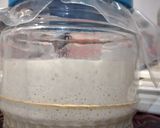 Foto langkah ke 4 dari resep Sourdough starter/Ragi alami.