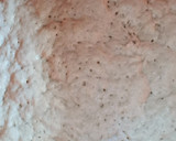 Foto del paso 3 de la receta: Focaccia