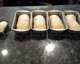 A picture of step 9 of Wheat Bread.