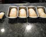 A picture of step 9 of Wheat Bread.