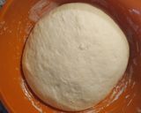 Foto del paso 4 de la receta: Pan Pebete