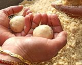 तिल मावा के लड्डू (til mawa ke ladoo recipe in Hindi) रेसिपी चरण 6 फोटो