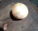 Foto del paso 1 de la receta: Remolacha sofrita estofada