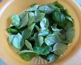Pesto di Basilico e Anacardi