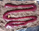 Foto del paso 2 de la receta: Salame vegano de cacao relleno con mermelada de frambuesa (sin azúcar añadida)