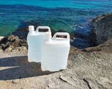 Foto del paso 4 de la receta: Hamburguesa de boniato enriquecida con Agua de mar