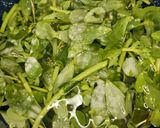 Foto del paso 2 de la receta: Salsa verde con verdolagas