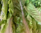 Foto langkah ke 2 dari resep Cah Selada Romaine lettuce.