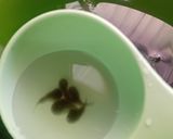 Foto langkah ke 3 dari resep Cendol Kecebong.