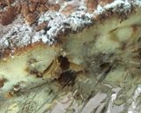 Foto del paso 7 de la receta: PASTEL DE 🍎MANZANAS🍎 Y GOTITAS DE 🍫CHOCOLATE🍫