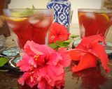 A picture of step 7 of Hibiscus Fresca.