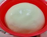 A picture of step 5 of Paratha Dough.