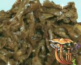Foto langkah ke 5 dari resep Jamur Tiram Bumbu Sate.