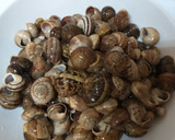 Foto del paso 1 de la receta: Cazuela de caracoles