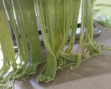 Foto langkah ke 5 dari resep Mie Bayam Hijau.