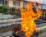 Pas rețetă Cotlet de miel la grătar 1 fotografie