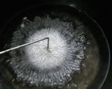 Foto del passaggio 3 della ricetta Baci panteschi