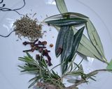 Une image de l'étape 1 de Tisane bio : feuilles des olives, romarin, thym et clou de girofle.