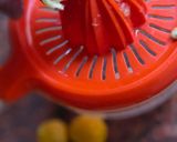 Foto del paso 2 de la receta: Jugo de limón en cubitos 🍋 Limones baratos en invierno para refrescante limonada en verano 🍹