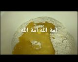 صورة لخطوة 1 من وصفة برازق شامية