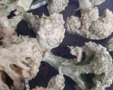 A picture of step 8 of Tandoori broccoli.