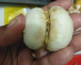 मशरुम डुप्लेक्स (mushroom duplex recipe in Hindi) रेसिपी चरण 9 फोटो