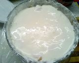 Gyümölcsös joghurttorta recept fázis 8 fotója