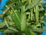 Tumis kangkung kering