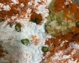 A picture of step 1 of Veg Manchurian.