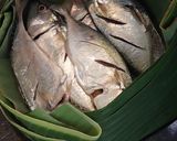 Foto langkah ke 3 dari resep Ikan Kembung Kukus.