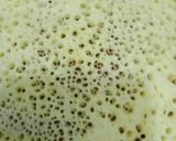 صورة لخطوة 3 من وصفة غرايف أو بغرير