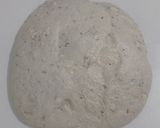 Foto langkah ke 11 dari resep Oregano Basil Cheddar Sourdough Bread (Oven Tangkring).