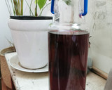 Foto del paso 4 de la receta: Agua de jamaica (en frío)